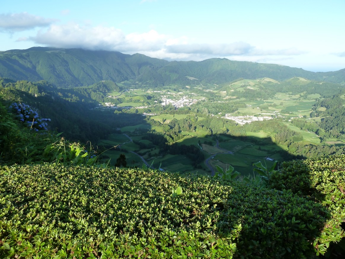 Furnas